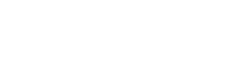 logo footer